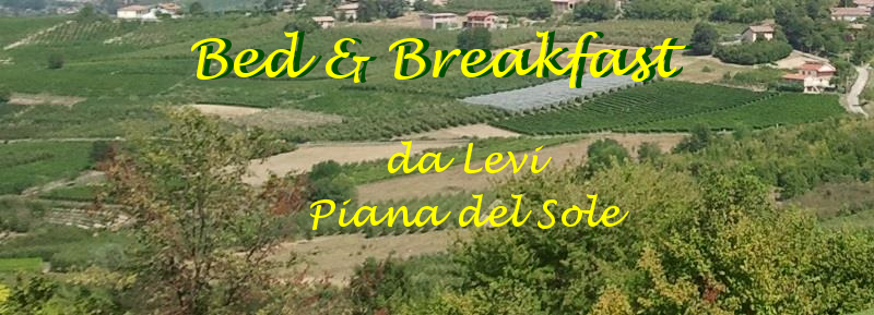 Bed and Breakfast in Monferrato - da Levi, Piana del Sole