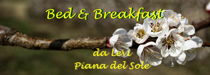 Bed and Breakfast in Monferrato - da Levi, Piana del Sole