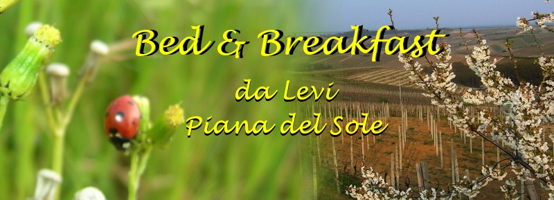 Bed and Breakfast in Monferrato - da Levi, Piana del Sole